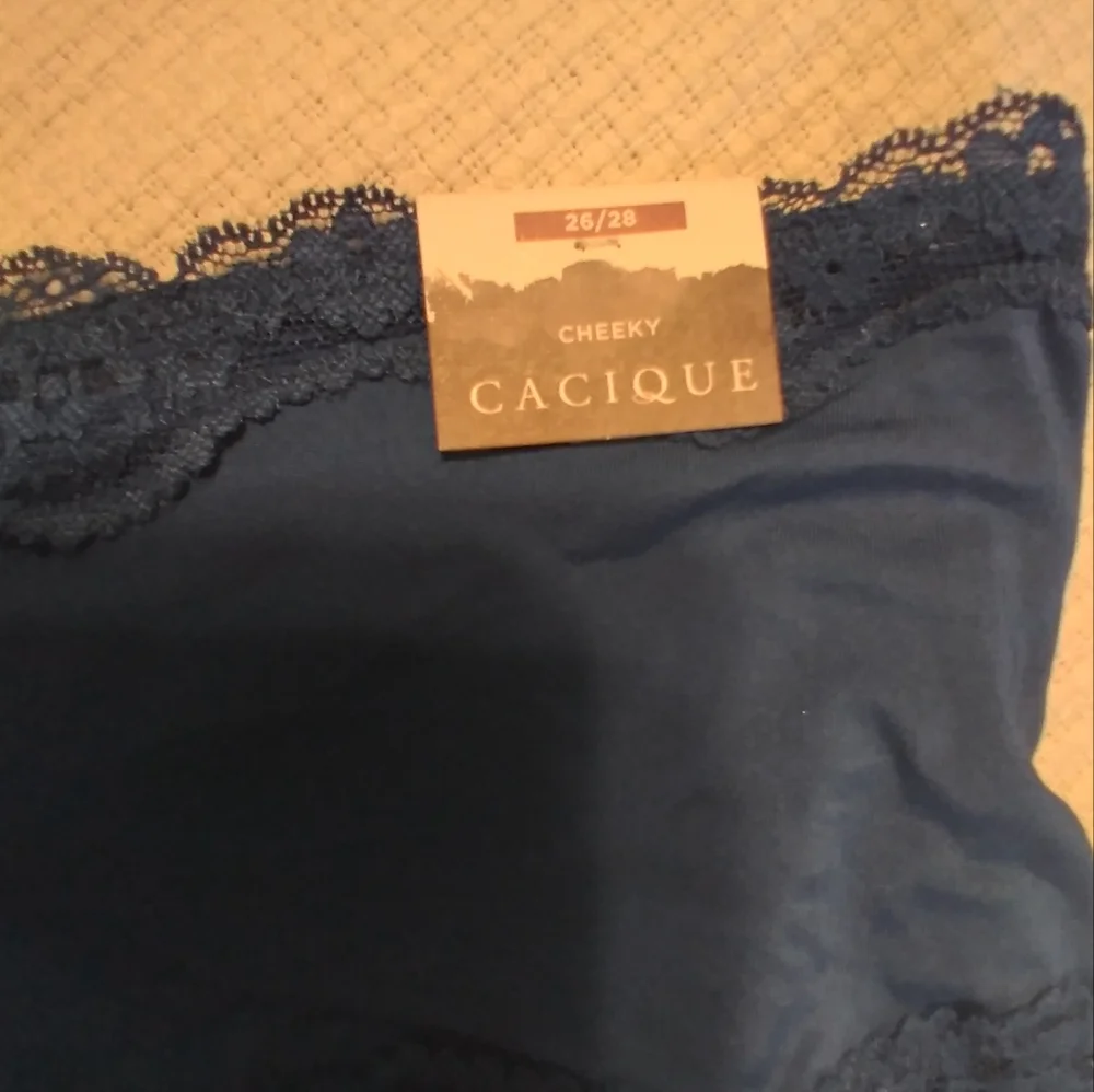 Lot of Lane Bryant cheeky panties